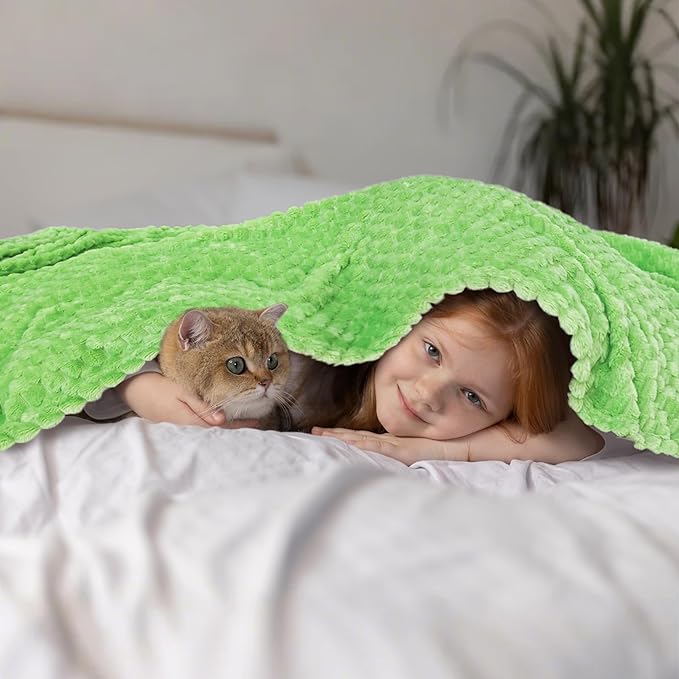 Vessia Flannel Fleece Throw Blanket, 3D Jacquard Light Green Fuzzy and Warm Blanket for Couch,Sofa,Bed,Chair, 300GSM Soft Touch Cozy Throw for All-Season Home Decor(50x40inch)