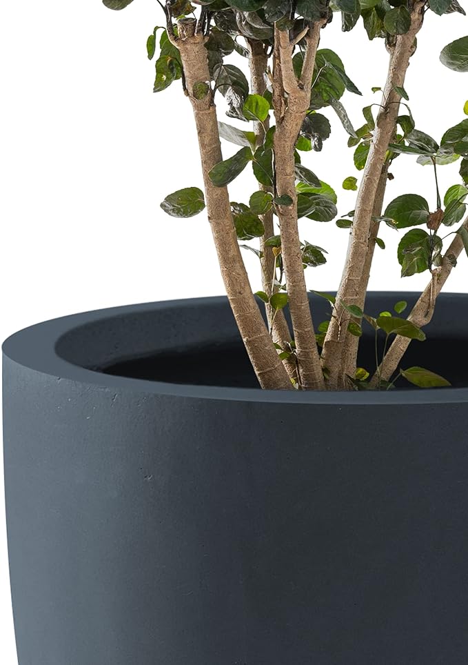 Kante 10 Inch Dia Round Concrete Planter, Indoor Outdoor Large Plant Pot with Drainage Hole and Rubber Plug for Home Patio Garden, Charcoal