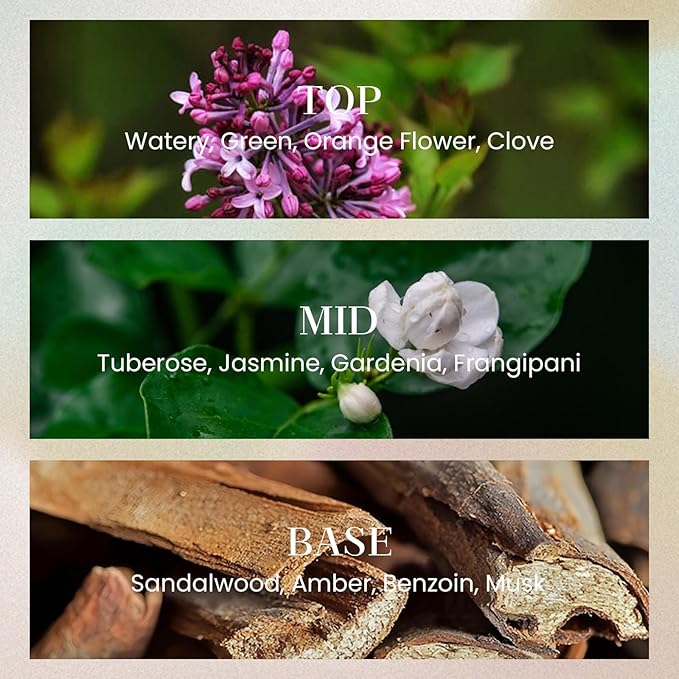 M&SENSE 10.14 oz Large Reed Diffuser | Gardenia Scent Oil Diffuser with Sticks |Long Lasting Non-Toxic Essential Oil |Reed Diffuser for Bathroom Shelf Decor