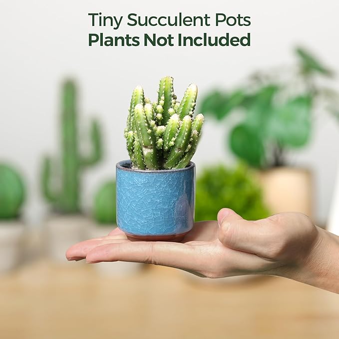 T4U 2.5 Inch Small Ceramic Succulent Planter Pot with Drainage Hole Set of 12, Ice Crack Glaze Plant Container for Cactus, Plant Lover Gifts for Women Mom Coworker Home Office Decor