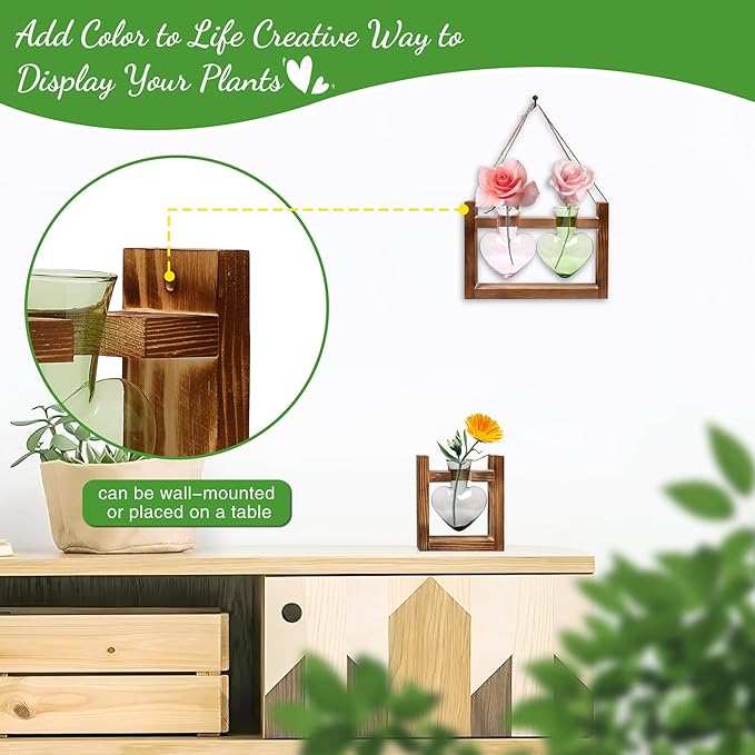2+1 Plant Terrarium Plant Propagation Station Birthday Gifts for Women Plant Lovers Home Office Decor with Wooden Stand
