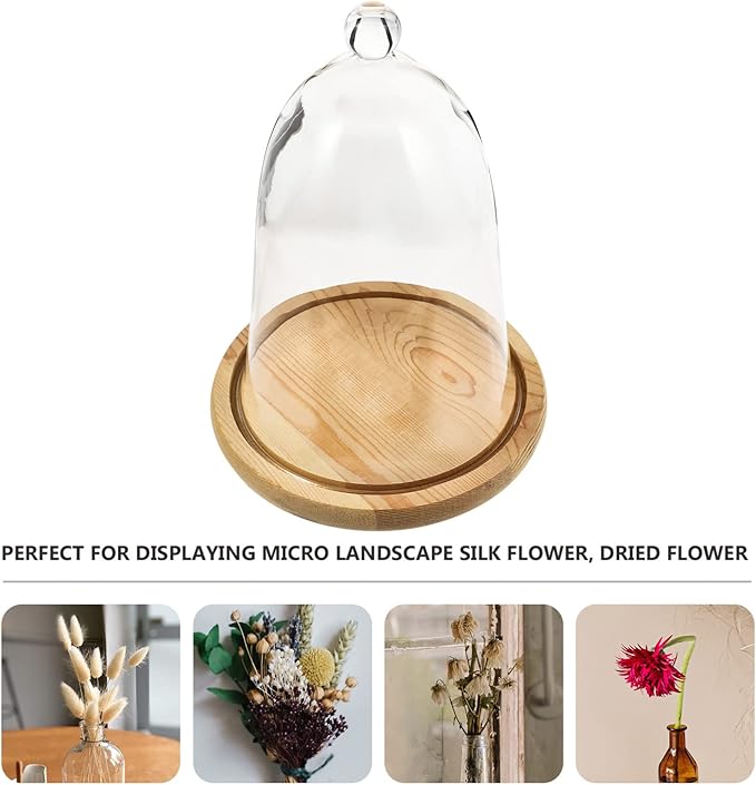 EXCEART Clear Glass Dome Cloche with Rustic Wooden Base Antique Bell Jar Display Dome for Plants Succulents Fairy Lights Photos Medals Decorative Fill and More Light Brown