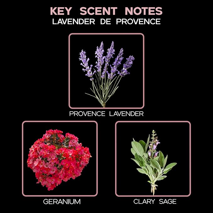 LOVSPA Lavender De Provence Essential Oil Reed Diffuser and Sticks Set - Calming Aromatherapy for Stress Relief and Relaxation - Real Lavender Stems and Hydrangea Flowers - Handmade in The USA