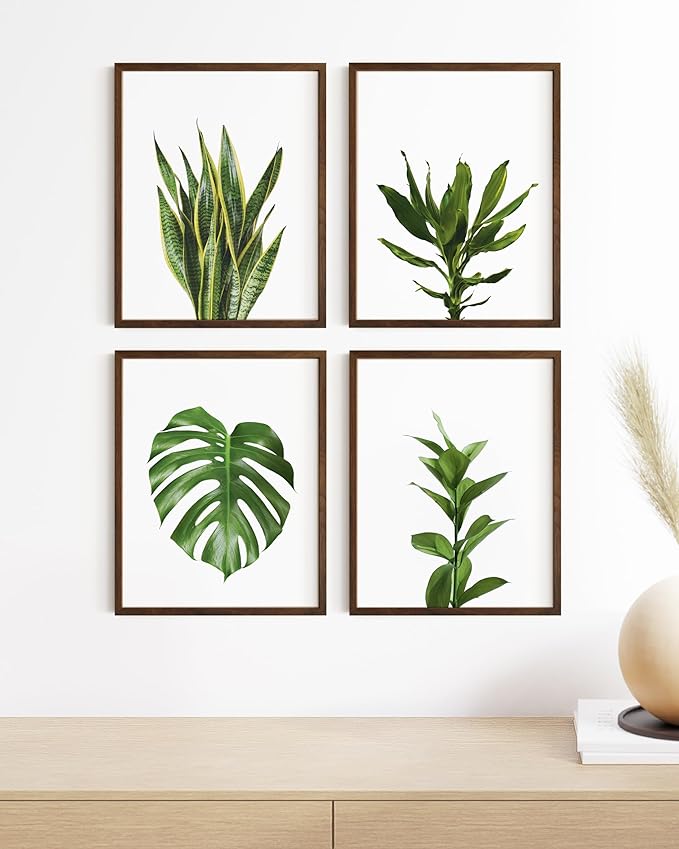 HAUS AND HUES Plant Photo Set of 4-16x20 Framed Walnut