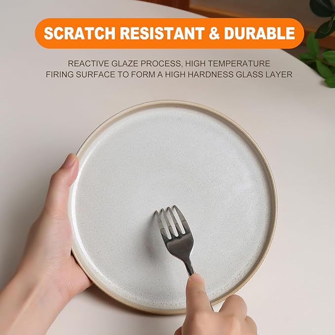 MONITO Ceramic Dinnerware Sets for 4, 12PCS Stoneware Plates and Bowls Sets, Reactive Glaze Dish Set, Chip and Scratch Resistant Double, Microwave and Dishwasher Safe, Beige