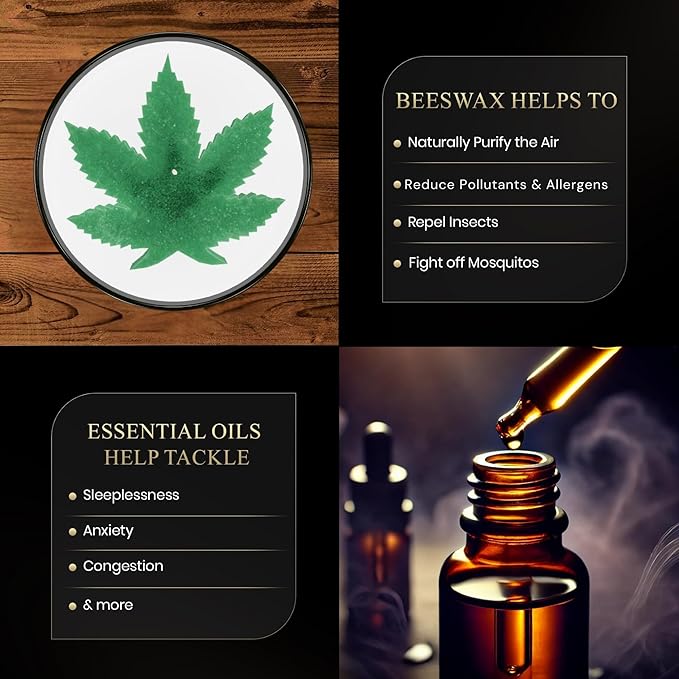 All Natural Scented Candle for Cannabis Lovers | Hand-Poured | Aromatherapy | Beeswax & Organic Soy Wax Blend | Essential Oils | 100% Beeswax Wick | Premium Gift Box Included | Weed Leaf Eualyptus