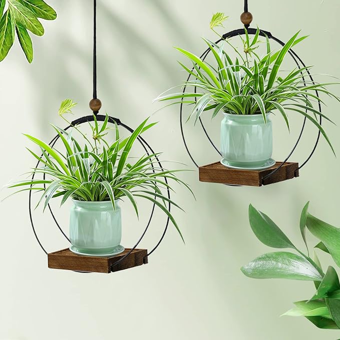 2 Pack Hanging Planter for Indoor Plants, Black Plant Hanger with Sturdy Wood Base, Modern Boho Macrame Hanger, Wall Ceiling Window Planter (Plants/Pots Not Included)