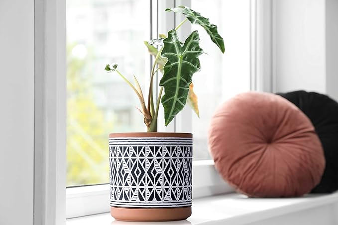D'vine Dev Set of 2 Terracotta Pots, Diamond Pattern Planter Pot, 4 Inch and 6 Inch, Pot with Drainage Hole and Saucer, Terracotta/Black, 31-958-G-2