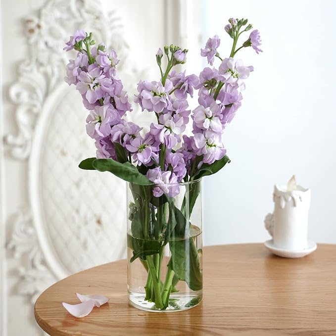 CUCUMI 12pcs Glass Cylinder Vases for Centerpieces, Flower Vases Wedding Decorations, 6 Inch Tall Glass Candle Holder for Table Shelf, Floral Vase Bulk for Home Decor