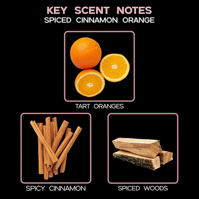 LOVSPA Spiced Cinnamon & Orange Reed Diffuser Set - Scented Stick Room Freshener with Orange, Cinnamon, Spices & Cedarwood - Autumn & Winter Scent in a Modern Striped Glass Bottle - Made in The USA