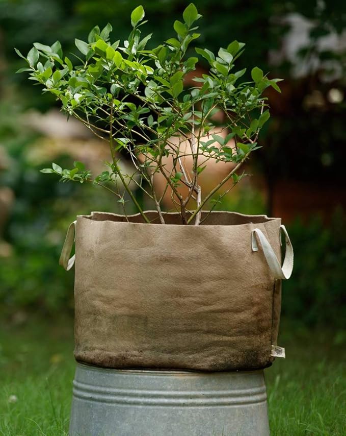 Smart Pots 15-Gallon Smart Pot Soft-Sided Container, Tan with Strap handles