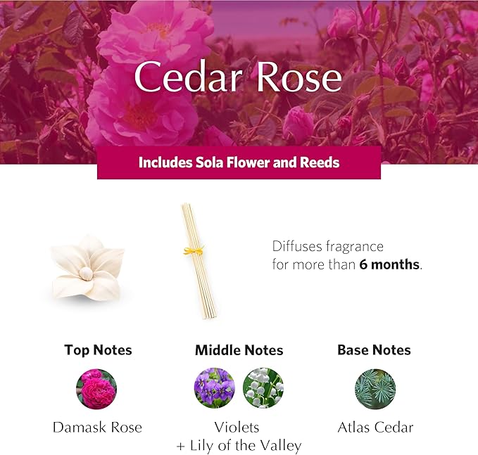 AGRARIA PetiteEssence Flower and Reed Diffuser Set, Hand Crafted Sola Flower Botanical Home Fragrance, Scented Oil, Housewarming Gift Set for All Occasions