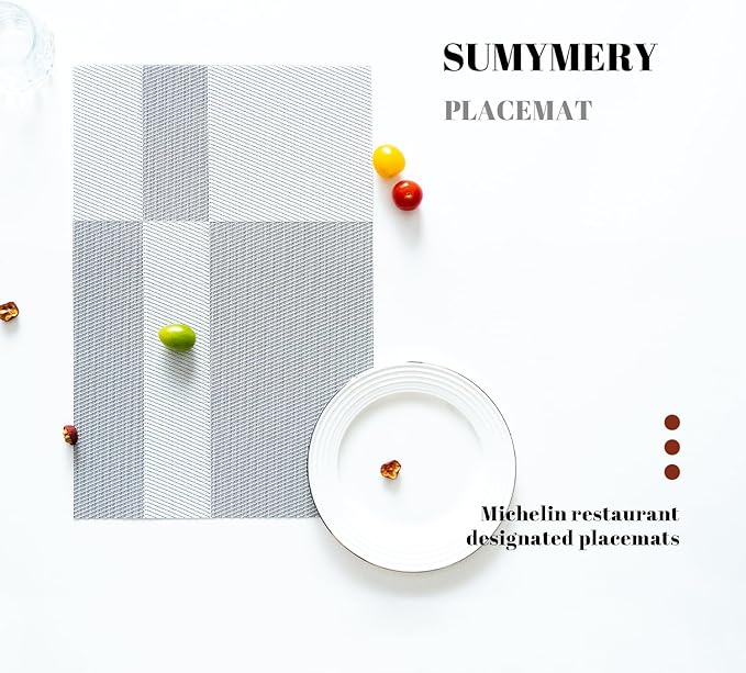 Placemats Set of 6 Vinyl/Plastic Woven Place Mats for Kitchen Table Indoor/Outdoor Washable Placemat Wipeable Dining Table Mats (Silver Cube,6)