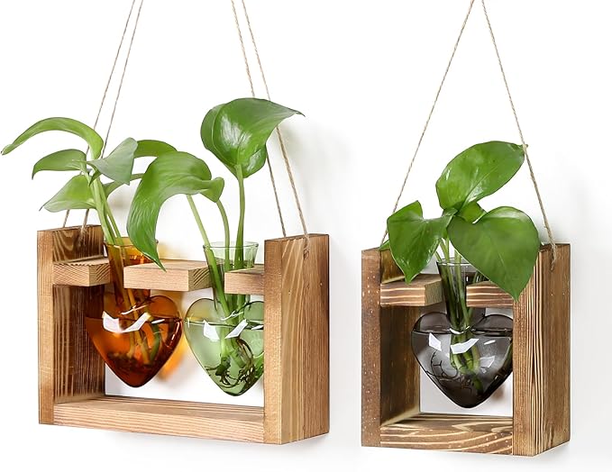 2+1 Plant Terrarium Plant Propagation Station Birthday Gifts for Women Plant Lovers Home Office Decor with Wooden Stand