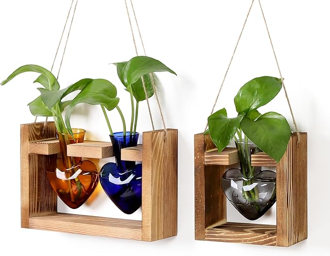 2+1 Plant Terrarium Plant Propagation Station Birthday Gifts for Women Plant Lovers Home Office Decor with Wooden Stand