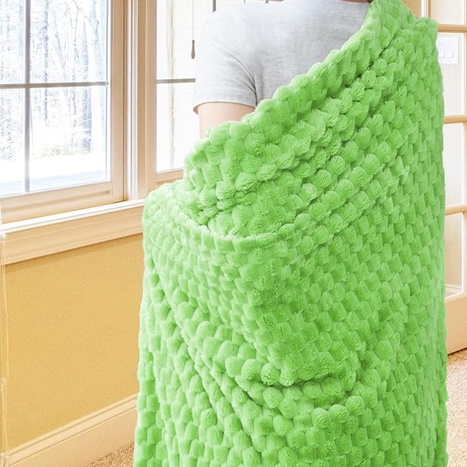 Vessia Flannel Fleece Throw Blanket, 3D Jacquard Light Green Fuzzy and Warm Blanket for Couch,Sofa,Bed,Chair, 300GSM Soft Touch Cozy Throw for All-Season Home Decor(50x40inch)