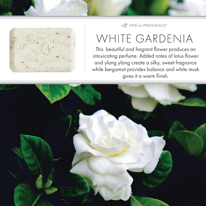 Pre de Provence Artisanal Soap Bar, Natural French Skincare, Enriched with Organic Shea Butter, Quad Milled for Rich, Smooth & Moisturizing Lather, White Gardenia, 5.3 Ounce