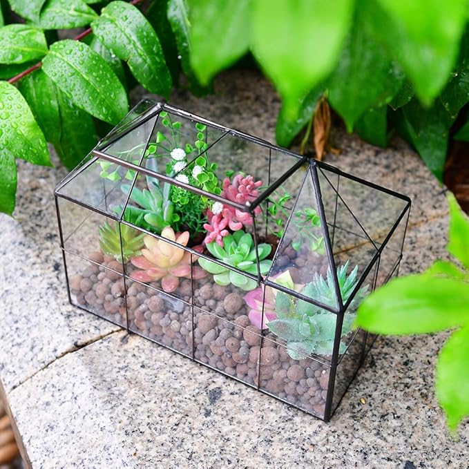 Large Glass Terrarium House Planter – Succulent Plant Terrarium House Shape Glass Greenhouse Terrarium with lid 9.8"X7.9"X5.9" NA