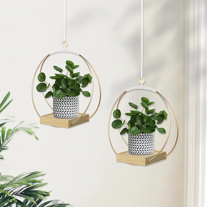 Hanging Planter for Indoor Plants, Plant Hanger with Sturdy Wood Base,Modern Boho Macrame Plant Hanger,Wall Ceiling Window Stands(Plants/Pots Not Included)