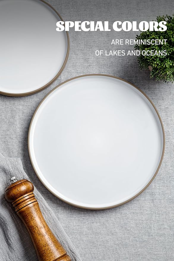 Famiware Nature Plates and Bowls Sets, 12 Pieces Stoneware Dinnerware Sets, Dishes Set for 4, Dishware Sets, Microwave and Dishwasher Safe, Snowy White