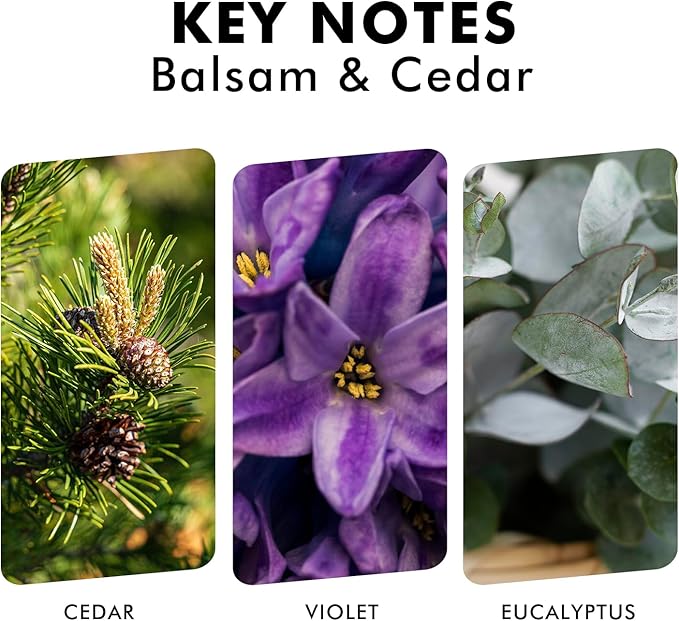 Reed Diffusers for Home, Balsam & Cedar Diffuser with Sticks, 3.7 Oz Scented Fragrance Oil Diffuser for Bedroom, Bathroom Decor