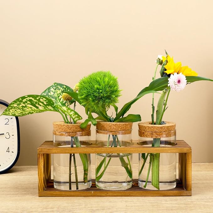 Propagation Stations, Plant Terrarium for Indoor Hydroponic Decor, Glass planters for Fresh Cuttings, Unique Birthday Gifts for Women & Mom, Home/Office Decor