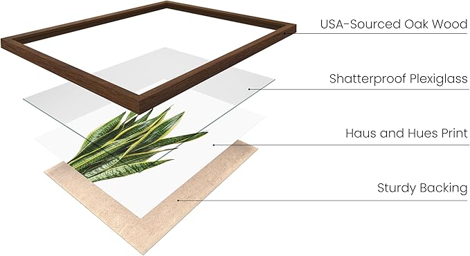 HAUS AND HUES Plant Photo Set of 4-16x20 Framed Walnut