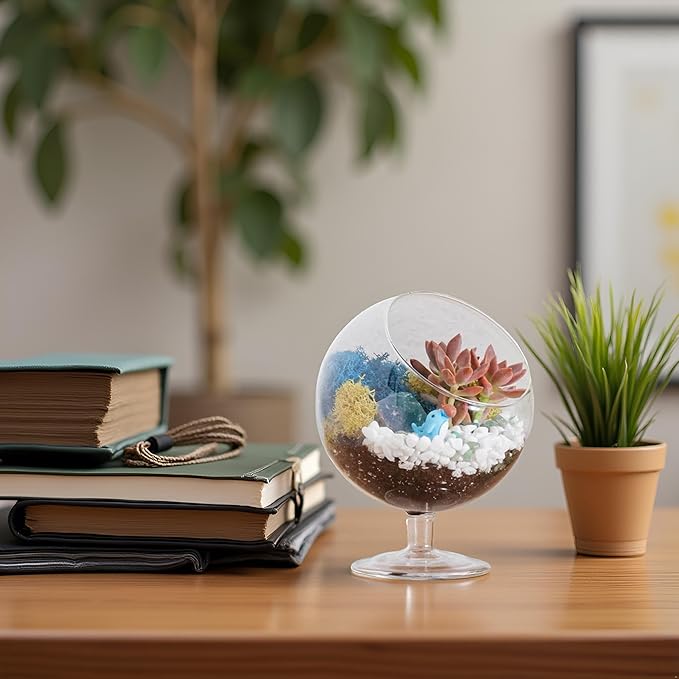 DIY Glass Plant Terrarium Kit for Adults, Metal Stand, Reindeer Moss, Crystals, Rocks, Tools & Figurine – Complete Starter Set