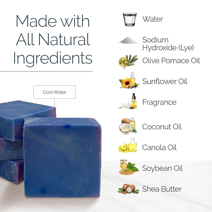 Handmade Natural Bar Soap Gift Set - 100% All Organic Vegan Bath Moisturizing Handmade Artisan Scented Cold Process Fragrant Soaps with Essential Oil - 4 Pack (Cool Water)