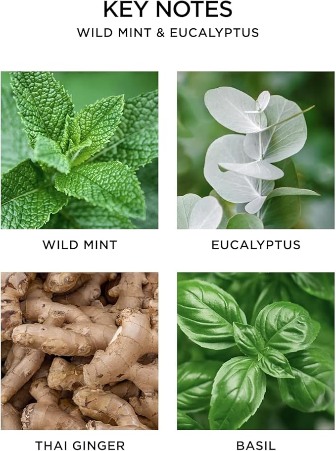 NEST New York Smart Home Fragrance Diffuser Refill Smart Vials, Wild Mint & Eucalyptus - Set of 2 - Designed for NEST x Pura 3 and NEST x Pura 4 Diffusers - Cruelty Free, Vegan - Made in USA