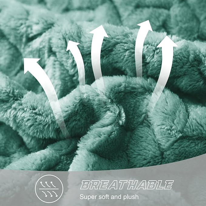 Exclusivo Mezcla Celadon Fleece Throw Blanket for Couch and Bed, 50x70 Inches Soft Cozy Jacquard Flannel Blankets, Lightweight Fuzzy Plush Warm Throws for All Seasons