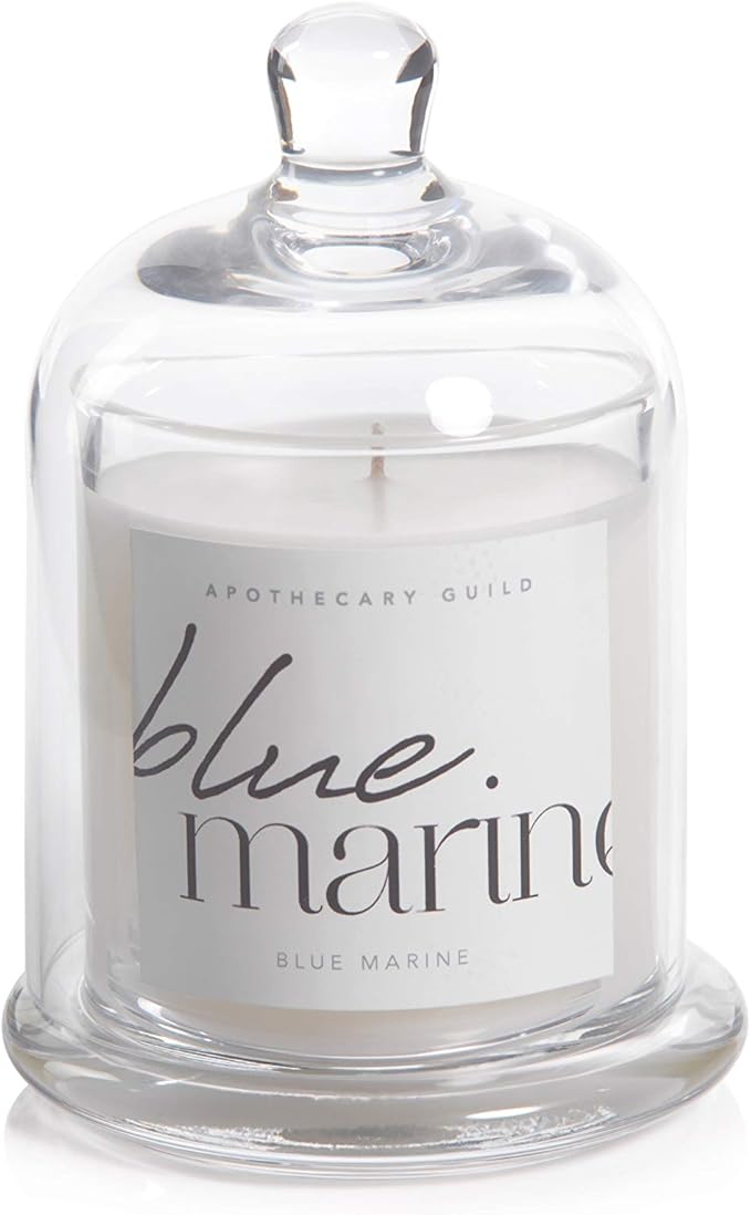 Zodax Blue Marine Apothecary Guild 10 Ounce Scented Jar Candle with Dome