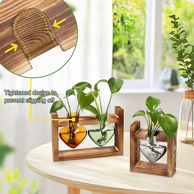 2+1 Plant Terrarium Plant Propagation Station Birthday Gifts for Women Plant Lovers Home Office Decor with Wooden Stand