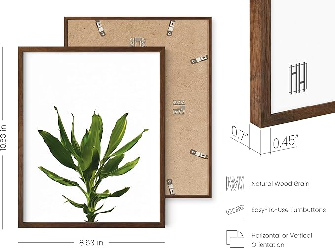 HAUS AND HUES Plant Wall Art - Set of 4 Plant Pictures Wall Art and Green Wall Art Collection, Botanical Prints, Sage Green Leaves Paintings For Wall, Minimalist Wall Art (Walnut Frame, 8x10)