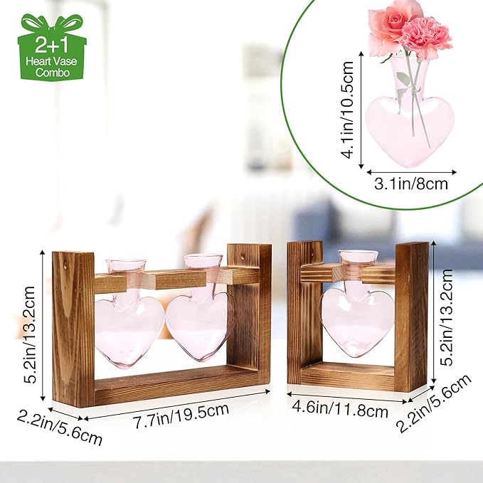 2+1 Plant Terrarium Plant Propagation Station Birthday Gifts for Women Plant Lovers Home Office Decor with Wooden Stand