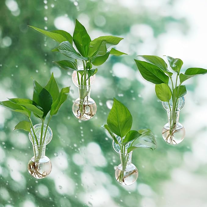 4 pcs Window Propagation Stations, Suction Cup Plastic Plant Propagation Bulbs, Easy to Install Wall Hanging Planter, No Nails Plastic Plant Terrarium Vase
