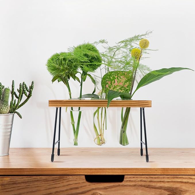 Plant Propagation Station, Glass Terrarium, Ideal for Cuttings and Flower Stems, Perfect Home & Office Decor, Great Gift for Plant Lovers