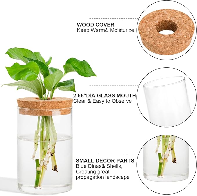 Lawei 3 Pcs Plant Terrarium Propagation Stations, Tabletop Glass Water Planting Glass Vase with Wooden Tray, Clear Jars Containers for Grow Hydroponic Plants Home Office Decoration