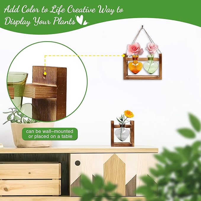 2+1 Plant Terrarium Plant Propagation Station Birthday Gifts for Women Plant Lovers Home Office Decor with Wooden Stand