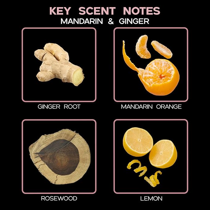 LOVSPA Mandarin & Ginger Reed Diffuser Set - Ginger Root, Mandarin Orange, Jasmine and Musk - Scent Diffuser for Large Rooms - Made in The USA