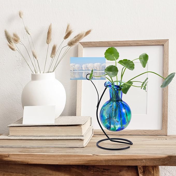 Hand Blown Glass Plant Propagation Station with Metal Stand and Photo Holder,Tabletop Plant Terrarium for Propagating Hydroponic Office Garden Home Decor, Gifts for Women Plant Lover