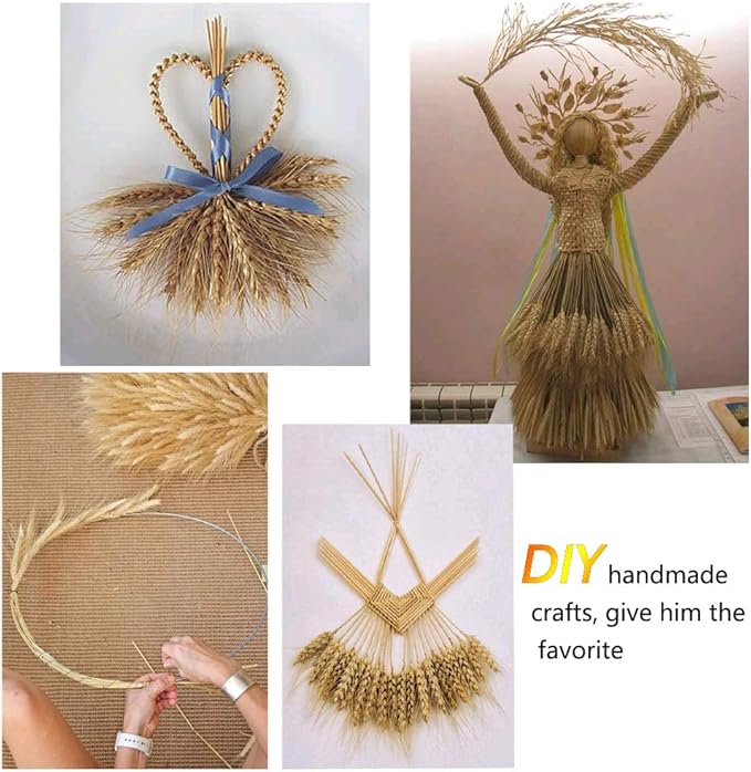 100 Pcs Dried Wheat Sheaves Bundle Golden Natural Wheat Bouquet Bunch Dried Flowers Arrangement for Fall Farmhouse DIY Design Home Table Wedding Party Centerpieces Decor (16")