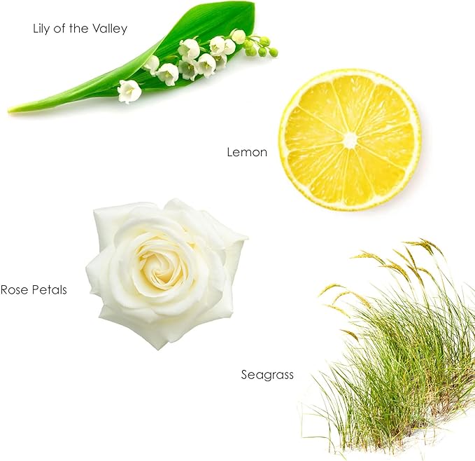 Gilchrist & Soames English Spa Luxury Candle (8oz), Sea Grass, Lemon, and Lily - USA Poured, Coconut Oil and Soy Wax Blend, Cotton Wick
