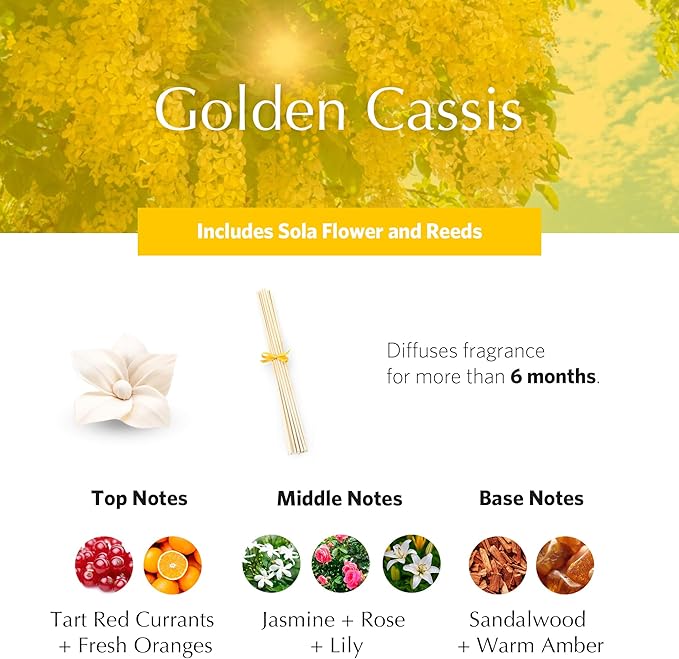 AGRARIA PetiteEssence Flower and Reed Diffuser Set, Hand Crafted Sola Flower Botanical Home Fragrance Diffuser, Scented Oil Reed Diffuser, Flower and Reed Diffuser Gift Set for All Occasions
