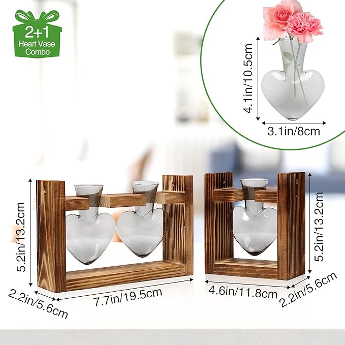 2+1 Plant Terrarium Plant Propagation Station Birthday Gifts for Women Plant Lovers Home Office Decor with Wooden Stand