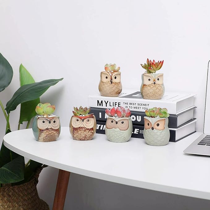 T4U 2.5 Inch Owl Ceramic Succulent Planter Pots with Drainage Hole Set of 12, Mini Cactus Pots Tiny Cute Plant Holder Container Best for Home Office Decor Gardening Gift