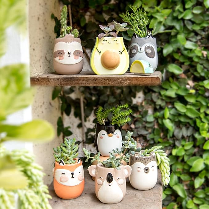 Penguin Animal Ceramic Planter for Indoor and Outdoors, 3 x 3 x 4 in., Cute Hand Painted Designed in Argentina, Convenient Drain Hole