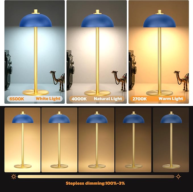 2 Pack Cordless Table Lamp, 5000mAh Portable Rechargeable Table Lamp, 3 Color Modes Stepless Dimming Table Light with Memory Function, for Dinner, Patio, Home, Restaurant.(Blue)