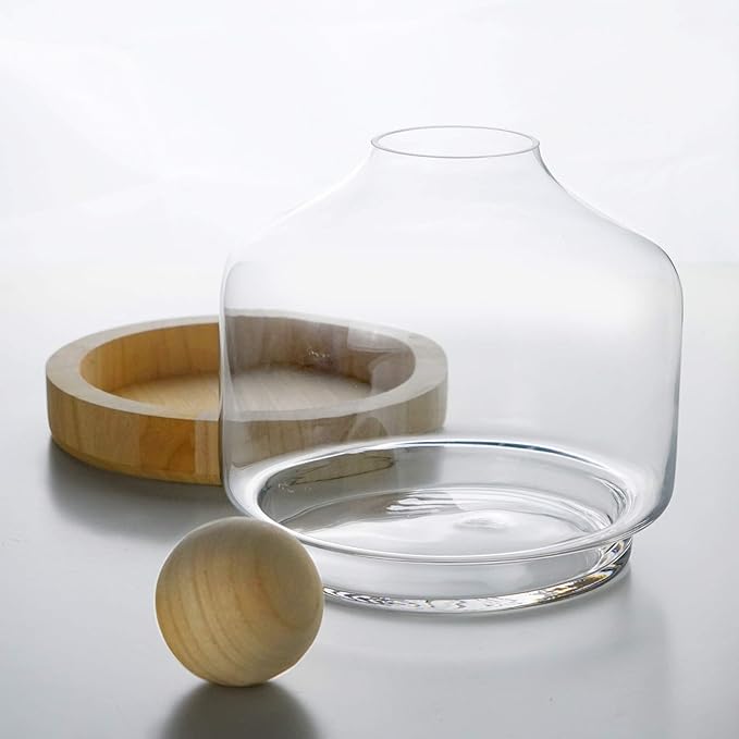 CYS EXCEL Glass Terrarium Container (H:11" W:9") | Multiple Size Choices Planter Jars with Wood Base & Lid | Plant Terrarium Bowl Vase