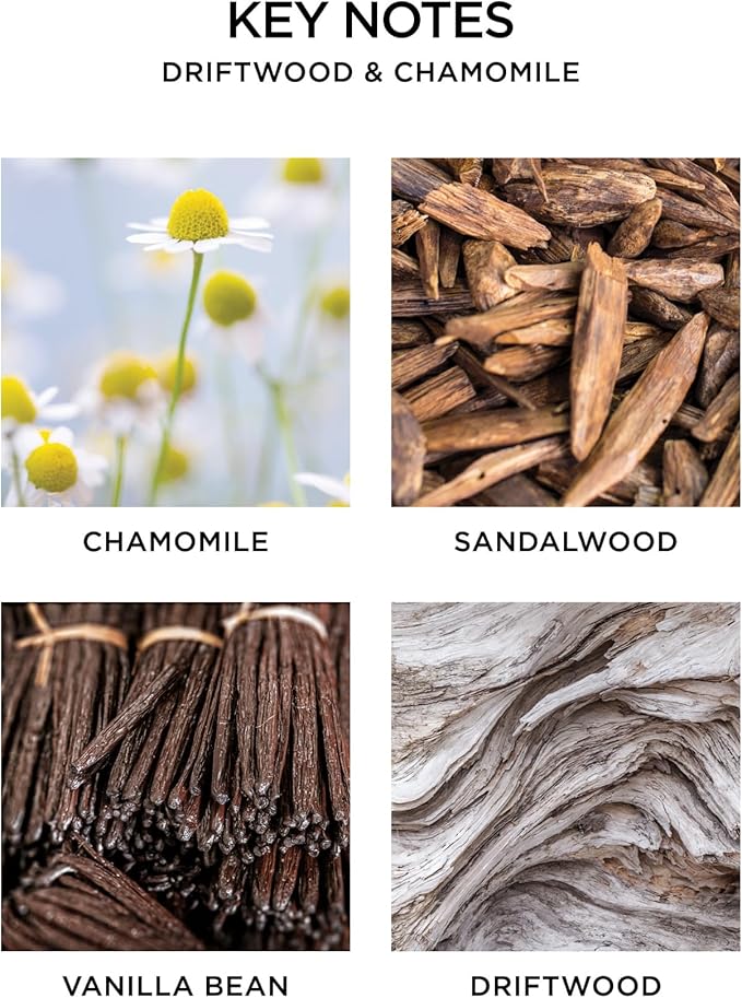 NEST New York Smart Home Fragrance Diffuser Refill Smart Vials, Driftwood & Chamomile - Set of 2 - Designed for NEST x Pura 3 and NEST x Pura 4 Diffusers - Cruelty Free, Vegan - Made in USA